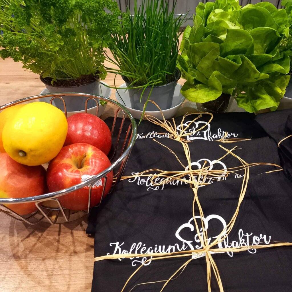 Vacsoracsata a kollégiumban (2026)