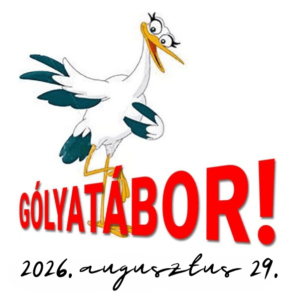 Gólyatábor a VKK-ban